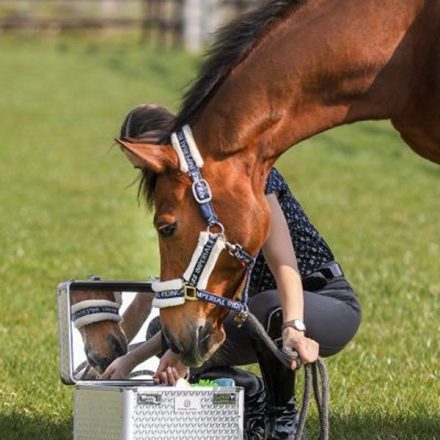 Imperial Riding IRHShiny cutie pentru produse de îngrijire