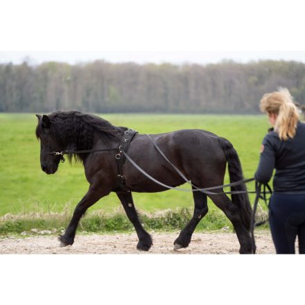 Imperial Riding lesă dublă pentru lonjare