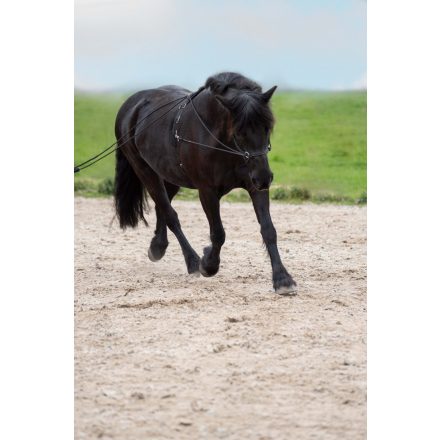 Imperial Riding IRHFlexi frâu lateral de legare