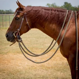 Accesorii frâu